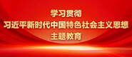 操骚逼视频链接学习贯彻习近平新时代中国特色社会主义思想主题教育_fororder_ad-371X160(2)